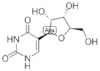 Pseudouridin