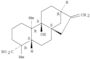 Kaur-16-en-18-oic acid,9-hydroxy-, (4a)-(9CI)