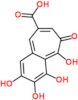 2,3,4,5-tetrahydroxy-6-oxo-6H-benzo[7]annulene-8-carboxylic acid