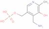 pyridoxamine-5'-phosphate