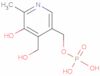 Pyridoxine 5′-phosphate