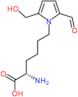 6-[2-formyl-5-(hydroxymethyl)-1H-pyrrol-1-yl]-L-norleucine