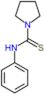 N-phenylpyrrolidine-1-carbothioamide