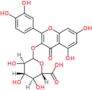 Quercetin 3-glucuronide