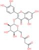 Quercetin 3-O-(6′′-malonylglucoside)