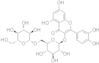 Quercetin 3-O-gentiobioside