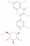 Quercétine 4′-O-glucoside