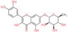 2-(3,4-dihydroxyphenyl)-3,5-dihydroxy-4-oxo-4H-chromen-7-yl 6-deoxy-alpha-L-mannopyranoside