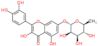 2-(3,4-dihidroxifenil)-3,5-dihidroxi-4-oxo-4H-cromen-7-il 6-desoxi-alfa-L-manopiranósido