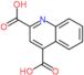 quinoline-2,4-dicarboxylic acid