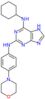 N~6~-cyclohexyl-N~2~-[4-(morpholin-4-yl)phenyl]-7H-purine-2,6-diamine