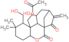 [11-hydroxy-1-(hydroxymethyl)-2,2-dimethyl-8-methylidene-6,7-dioxodecahydro-6a,9-methanocyclohepta…