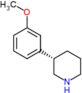 (3S)-3-(3-methoxyphenyl)piperidine