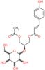 (2S)-3-(acetyloxy)-2-(hexopyranosyloxy)propyl (2E)-3-(4-hydroxyphenyl)prop-2-enoate