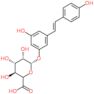 Resveratrol 3-O-glucuronide