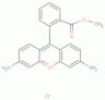 Rhodamine 123