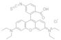 Rhodamine B isothiocyanate