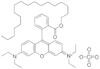 rhodamine B octadecyl ester perchlorate
