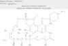 Spiro[9,4-(epoxypentadeca[1,11,13]trienimino)-2H-furo[2',3':7,8]naphth[1,2-d]imidazole-2,4'-piperidine]-5,10,26(3H,9H)-trione, 16-(acetyloxy)-6,18,20-trihydroxy-14-methoxy-7,9,15,17,19,21,25-heptamethyl-1'-(2-methylpropyl)-, (9S,12E,14S,15R,16S,17R,18R,19R,20S,21S,22E,24Z)-