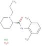 2-Piperidinecarboxamide, N-(2,6-dimethylphenyl)-1-propyl-, hydrochloride, hydrate (1:1:1), (2S)-