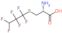 S-(1,1,2,2,3,3-hexafluoropropyl)-L-cysteine