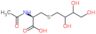 (2R)-2-Acetamido-3-(2,3,4-trihydroxybutylsulfanyl)propansäure