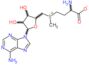 2-amino-4-[{[5-(6-amino-9H-purin-9-yl)-3,4-dihydroxytetrahydrofuran-2-yl]methyl}(methyl)sulfonio...