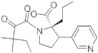 (S)-3-(Pyridine-3-yl)propyl-1-(3,3-dimethyl-2-oxo-pentanoyl)pyrrolidine-2-carboxylate