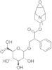 Scopolamine -D-Glucuronide