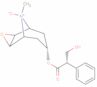 Scopolamine, N-oxide