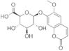 Scopoletin b-D-Glucuronide