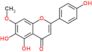 5,6-dihydroxy-2-(4-hydroxyphenyl)-7-methoxy-4H-chromen-4-one