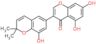 Semilicoisoflavone B