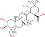 (2alpha,3beta,19alpha)-2,3,19,24-tetrahydroxyolean-12-en-28-oic acid