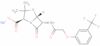 trifluoromethyl penicillin V