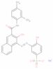 sodium 3-[[3-[[(2,4-dimethylphenyl)amino]carbonyl]-2-hydroxy-1-naphthyl]azo]-4-hydroxybenzenesulphonate