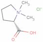 Stachydrine, hydrochloride