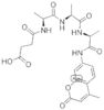 N-succinyl-ala-ala-ala 7-amido-4-*methylcoumarin