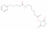 Succinimidyl 6-[3-(2-Pyridyldithio)propionamido]hexanoate
