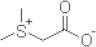 Sulfobetaine