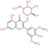 5,7-dihydroxy-2-(4-hydroxy-3,5-dimethoxyphenyl)-4-oxo-4H-chromen-3-yl beta-D-galactopyranoside