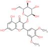 5,7-dihydroxy-2-(4-hydroxy-3,5-dimethoxyphenyl)-4-oxo-4H-chromen-3-yl beta-D-glucopyranoside