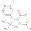 Carbamic acid, [(2-chloro-4-pyrimidinyl)methyl]-, 1,1-dimethylethyl ester