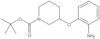 1,1-Dimethylethyl 3-(2-aminophenoxy)-1-piperidinecarboxylate