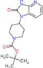 tert-butyl 4-(2-oxo-2,3-dihydro-1H-imidazo[4,5-b]pyridin-1-yl)piperidine-1-carboxylate