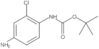 Carbamic acid, (4-amino-2-chlorophenyl)-, 1,1-dimethylethyl ester