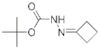 Hydrazinecarboxylic acid, cyclobutylidene-, 1,1-dimethylethyl ester (9CI)