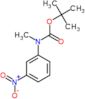 tert-butyl methyl(3-nitrophenyl)carbamate