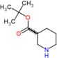 tert-butyl piperidine-3-carboxylate