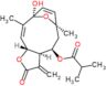 (3aR,4R,6R,9R,10Z,11aR)-9-hydroxy-6,10-dimethyl-3-methylidene-2-oxo-2,3,3a,4,5,6,9,11a-octahydro-6,9-epoxycyclodeca[b]furan-4-yl 2-methylpropanoate